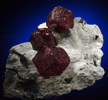 Almandine Garnet and Staurolite from Green's Farm, 750 m. ESE of Roxbury Falls, Roxbury, New Haven County, Connecticut