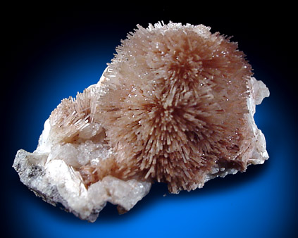 Natrolite and Analcime from Halls Harbor, Nova Scotia, Canada