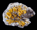 Wulfenite from Harrington-Hickory Mine, Beaver County, Utah