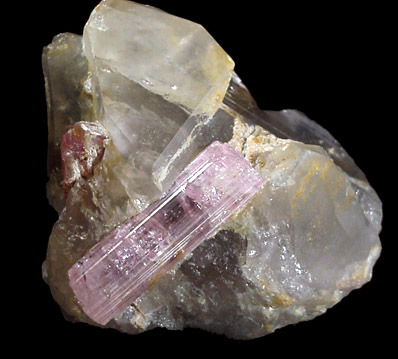 Elbaite var. Rubellite Tourmaline from Himalaya Mine, Mesa Grande, San Diego County, California