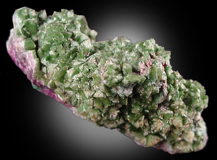 Cuproadamite from Tsumeb Mine, Otavi-Bergland District, Oshikoto, Namibia