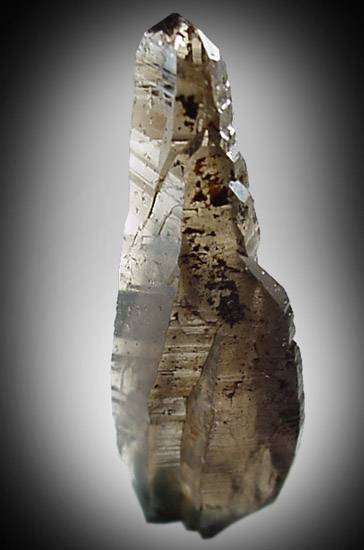 Quartz var. Smoky from Rotten Rock Pit, Davis Hill, Brownfield, Maine