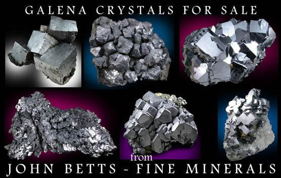 John Betts - Fine Minerals gallery of Galena Specimens
