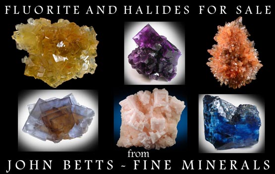 John Betts - Fine Minerals gallery of Halide Minerals
